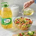 Catalogue photos_Transparant_27.05.26.webp