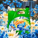 gain-laundry-detergents-003077219118-1d_1000.webp