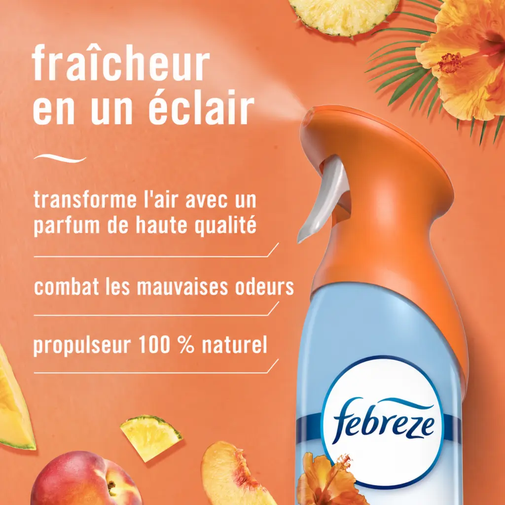 Catalogue photos_Transparant_27.05.26 (3).webp
