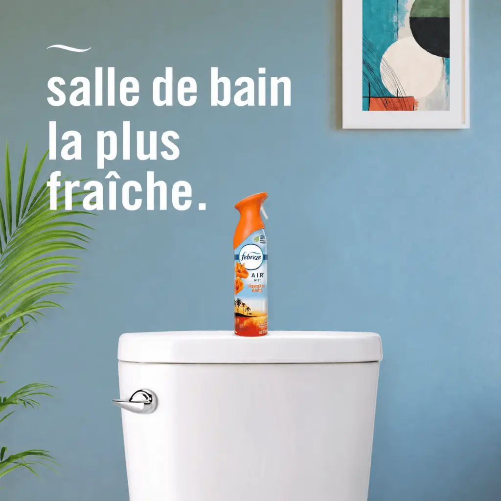 Catalogue photos_Transparant_27.05.26 (4).webp
