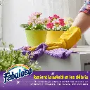 Catalogue photos_Transparant_27.05.26 (1).webp