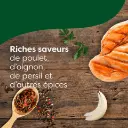 Knorr Cube Poulet 4 5 (4).webp