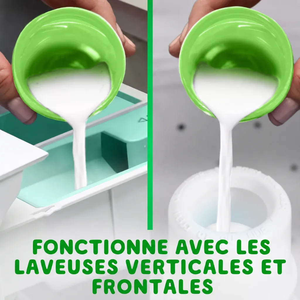 619ee4c3-7482-4569-bfb8-78ff28a16f69.webp