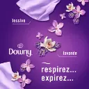 Catalogue photos_Transparant_27.05.26 (3).webp