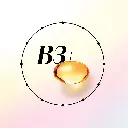 Catalogue photos_Transparant_27.05.26 (2).webp