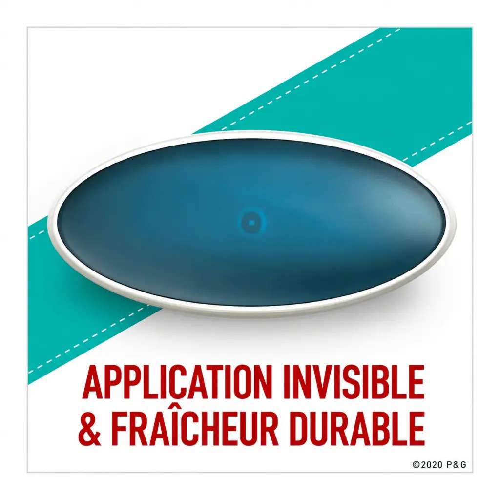 Catalogue photos_Transparant_27.05.26 (2).webp