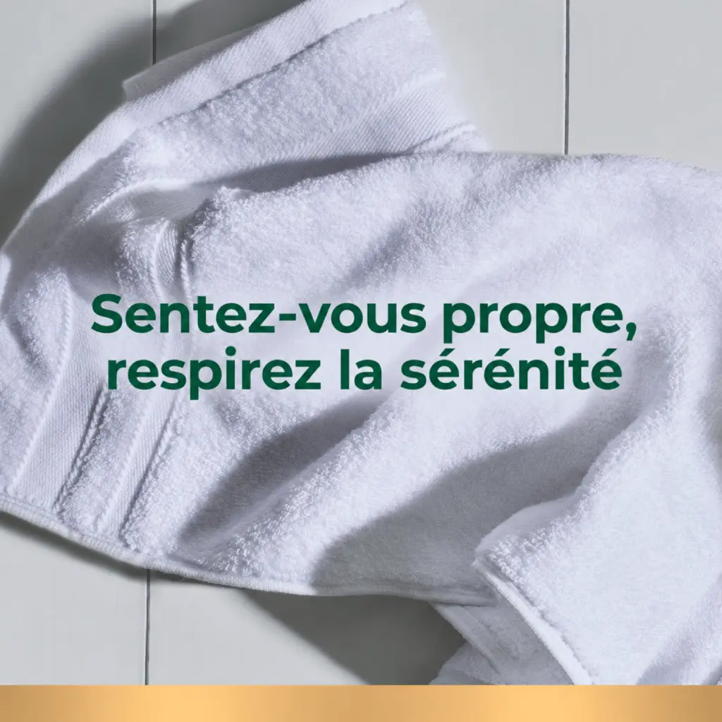 Catalogue photos_Transparant_27.05.26 (8).webp