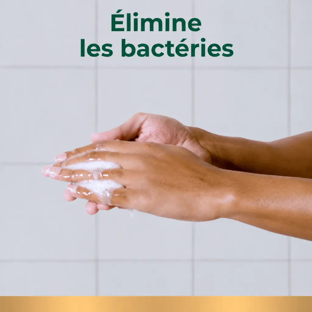 Catalogue photos_Transparant_27.05.26 (11).webp