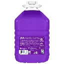 fabuloso-all-purpose-cleaners-61037884-66_1000.webp