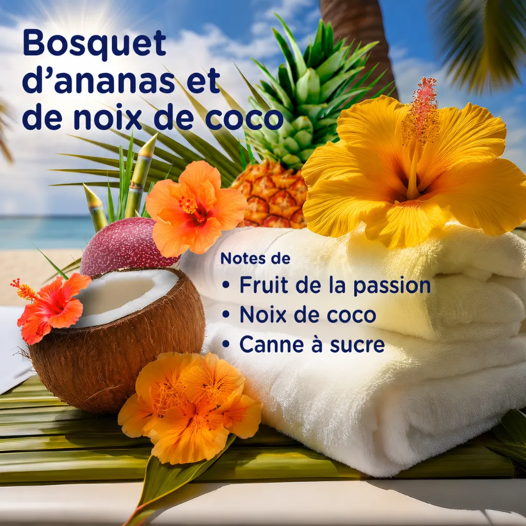 a522d7c3-81e9-4709-8d41-cc1a2b0f99d3.webp