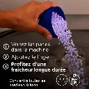 5dc65ed5-9f41-4dfd-9838-25cd53b299c1.webp