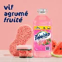 Fabuloso Watermelon 6.2 L Vif Agrume Fruite.webp