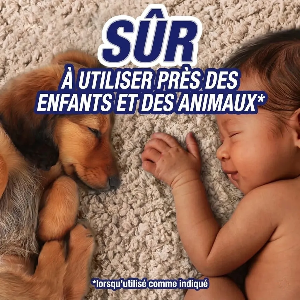 26e252da-e1d9-45b8-a4e1-e9b038e8dfcf (1).webp
