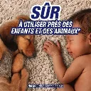26e252da-e1d9-45b8-a4e1-e9b038e8dfcf (1).webp