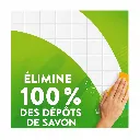 7dca6a55-d541-4c50-aa19-42432ec8ffa4.webp