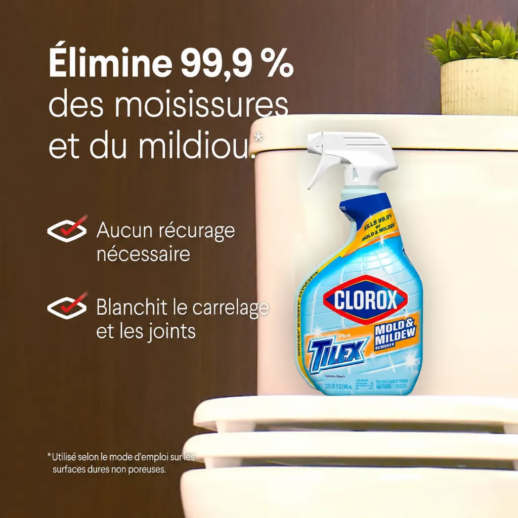 afadcadc-0d42-4427-a405-15b790d2a725.webp
