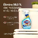 afadcadc-0d42-4427-a405-15b790d2a725.webp