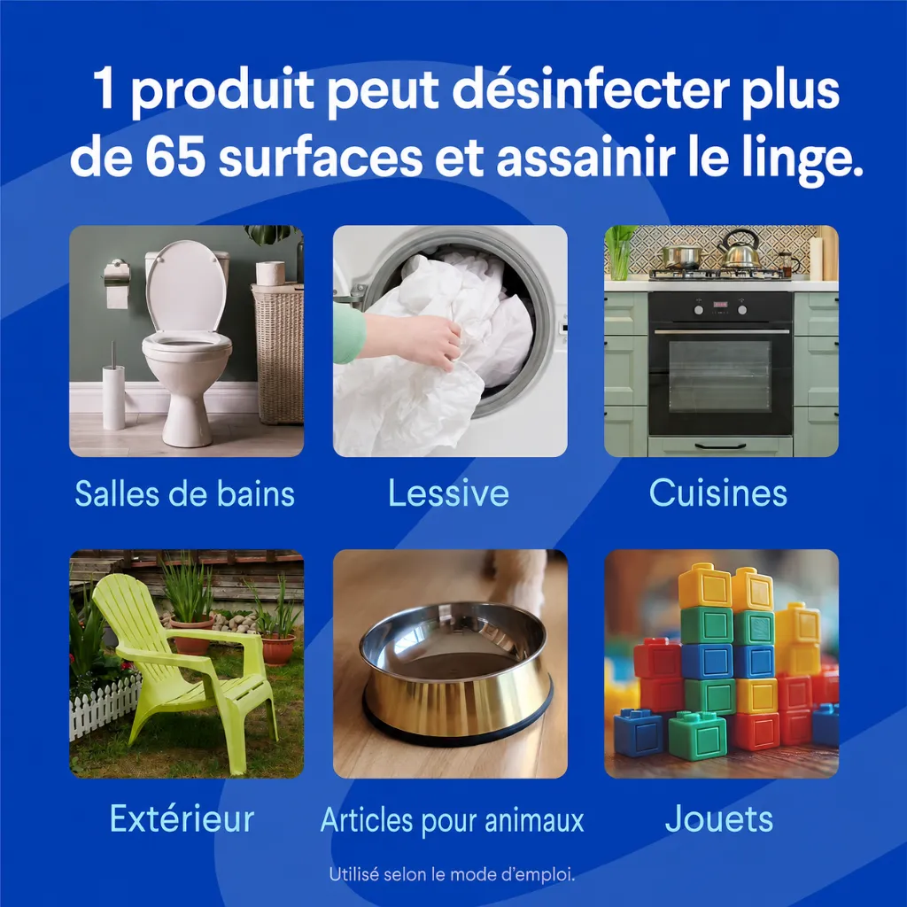 2a3c2120-2541-487e-8599-8c389230d8e4.webp