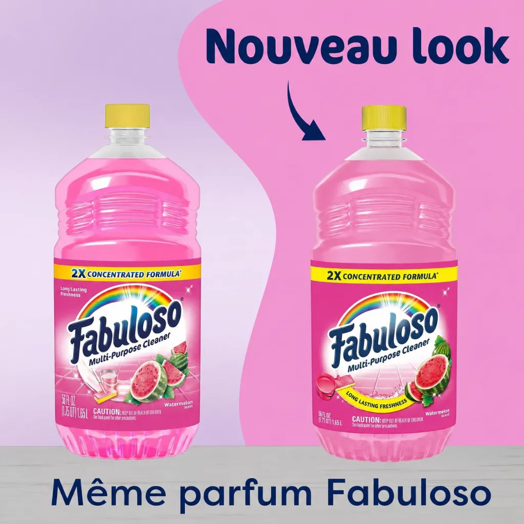 2388e58e-afe0-4ddf-a0b8-5779835535ba.webp