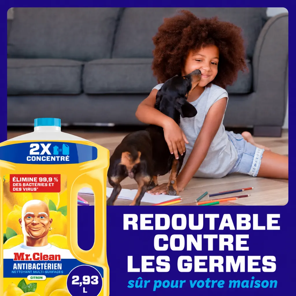 aa0ff7e8-ea15-498f-91c4-39da2f3ffc93.webp