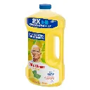 mr-clean-all-purpose-cleaners-003077211290-4f_1000.webp