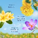 a040391c-97e3-4985-be3d-b166a916bc26.webp