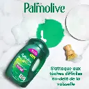 Catalogue photos_Transparant_27.05.26 (3).webp