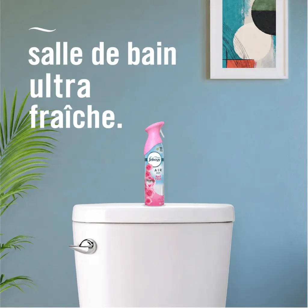 Catalogue photos_Transparant_27.05.26 (4).webp