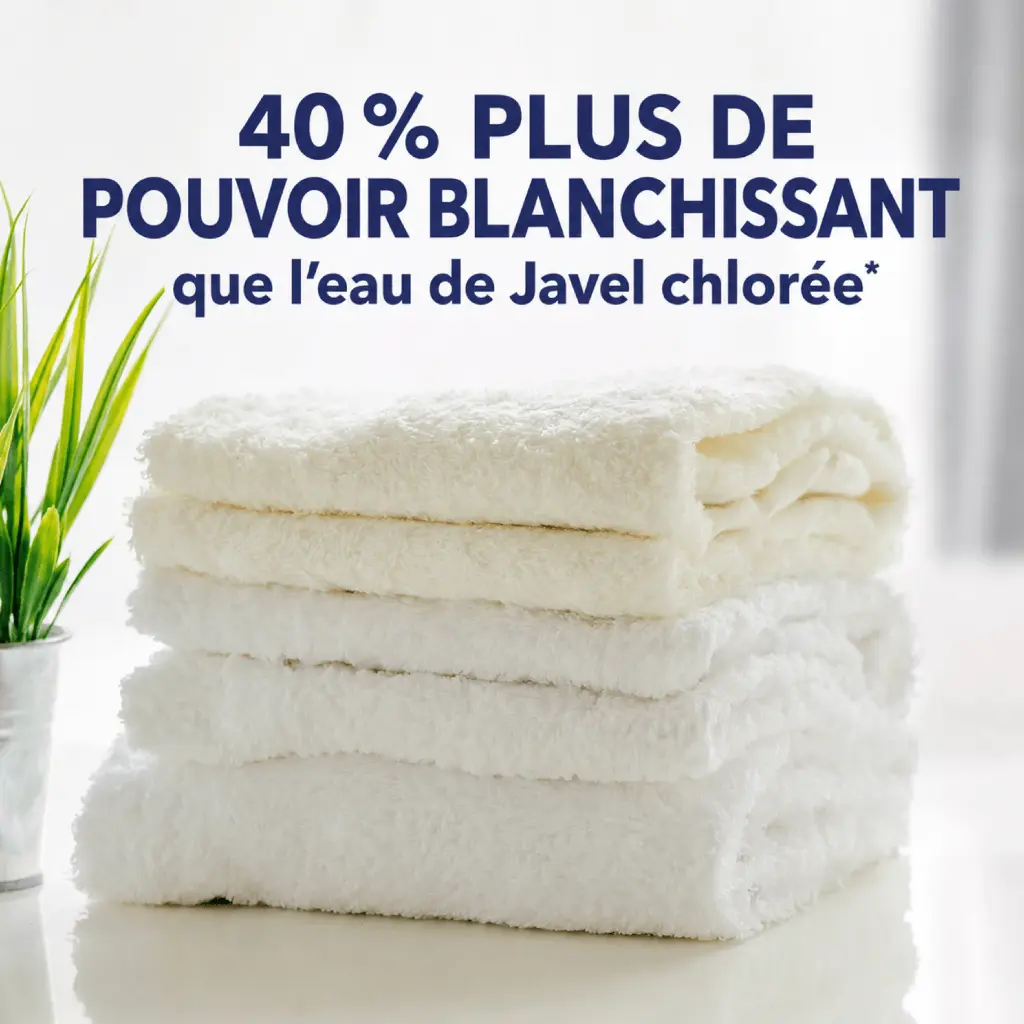 Catalogue photos_Transparant_27.05.26 (3).webp