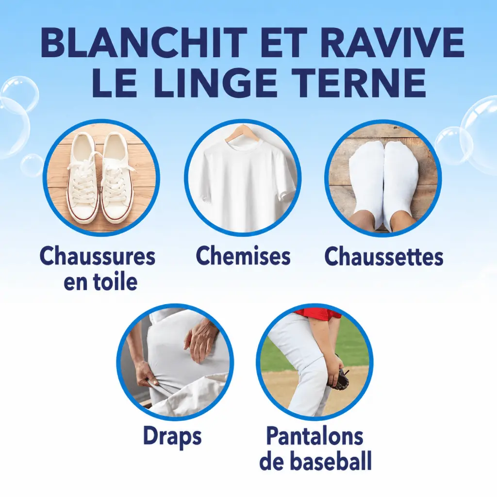Catalogue photos_Transparant_27.05.26 (2).webp