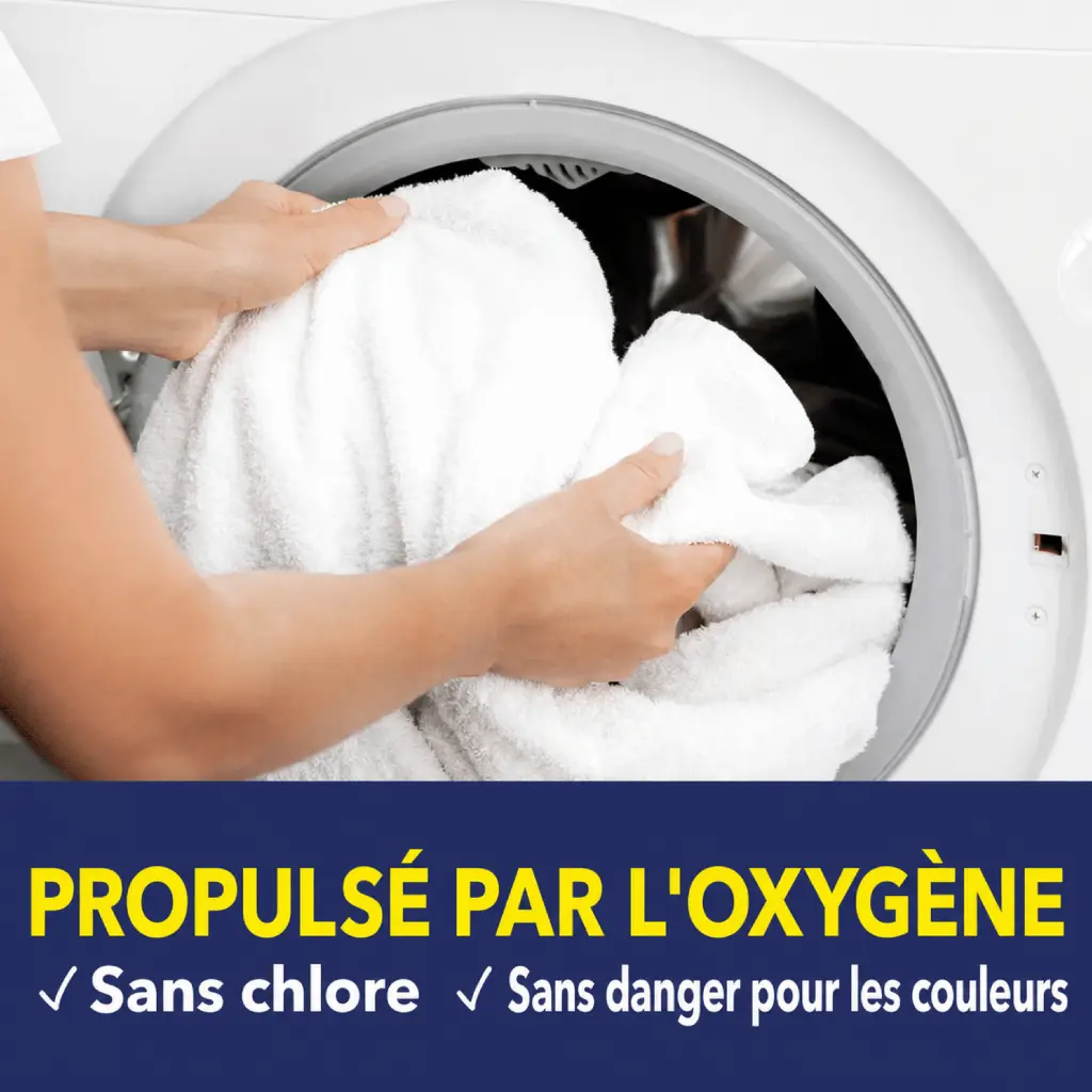 Catalogue photos_Transparant_27.05.26 (6).webp