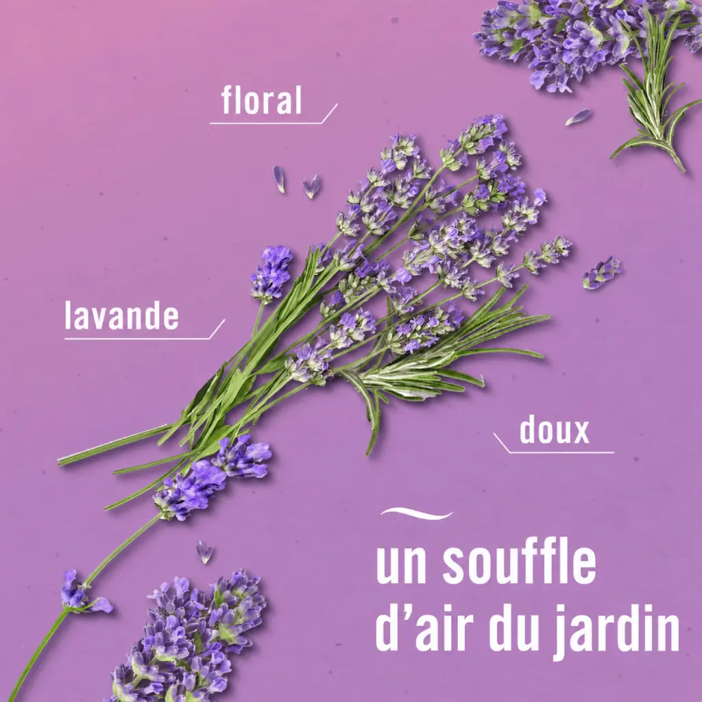 Catalogue photos_Transparant_27.05.26 (4).webp