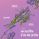 Catalogue photos_Transparant_27.05.26 (4).webp