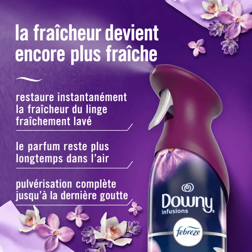 Catalogue photos_Transparant_27.05.26.webp