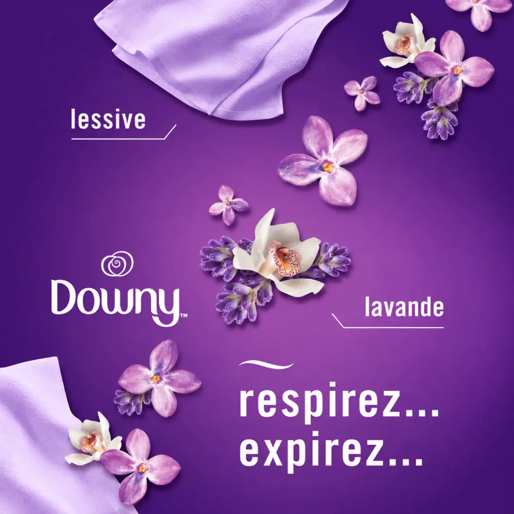 Catalogue photos_Transparant_27.05.26 (3).webp