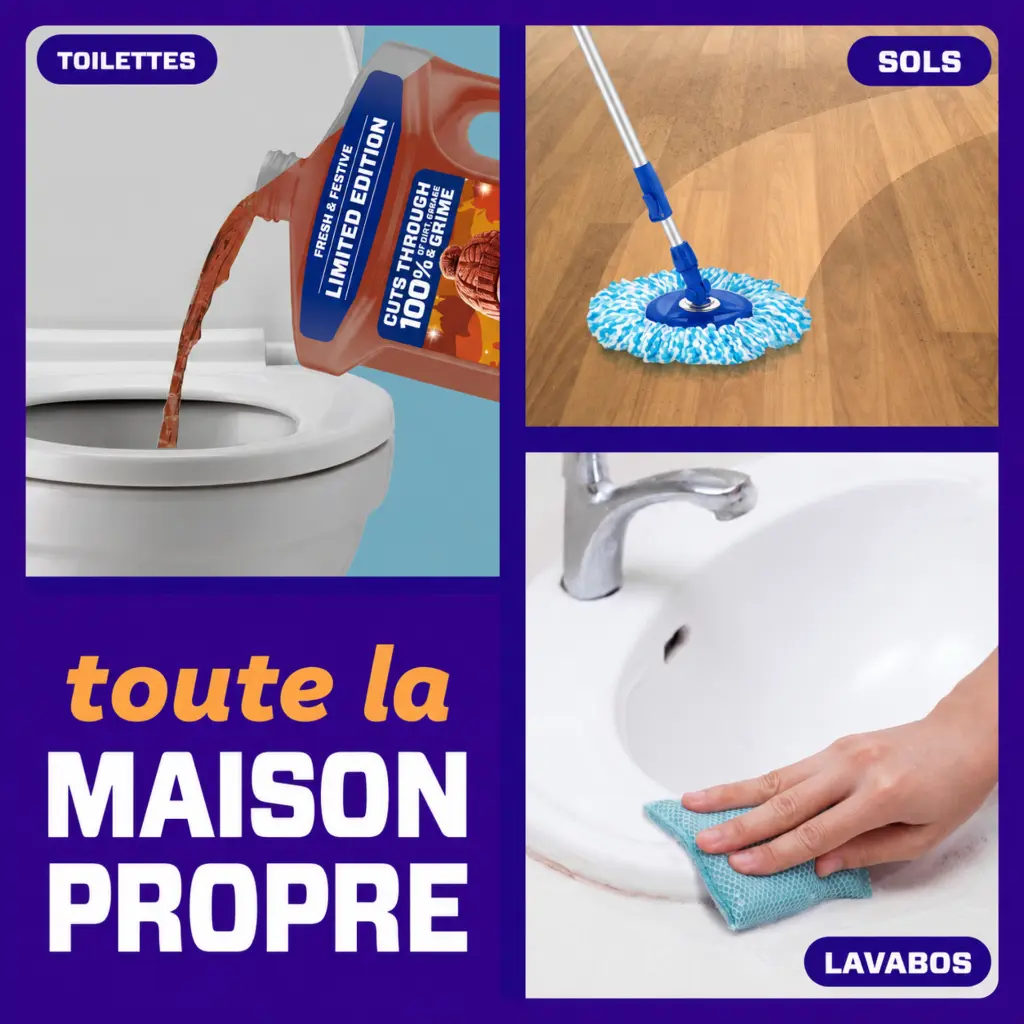 Catalogue photos_Transparant_27.05.26 (2).webp
