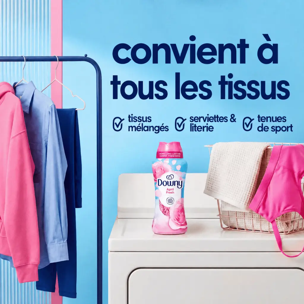 Catalogue photos_Transparant_27.05.26 (2).webp